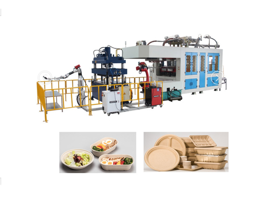 Biodegradable kertas Pulp Molding Mesin Makanan Container sekali pakai 1 tahun Jaminan