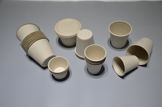 Mesin Cetakan Ampas tebu Biodegradable Otomatis Dengan Manipulator Berjalan Horisontal Ganda