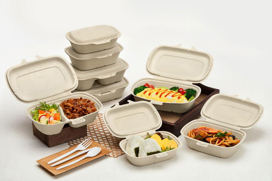 Lini Produksi Peralatan Makan Pulp Otomatis Penuh Dengan Lengan Robot Berjalan Horizontal