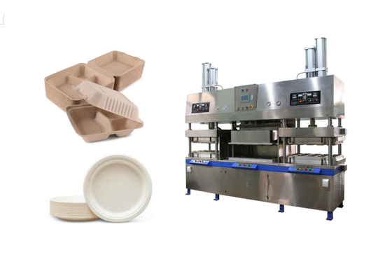 Bleach Pulp Sheet Kering Dalam Mesin Cetakan Untuk Membuat Piring Kertas Dan Wadah Burger