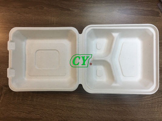 Biodegradable Tebu Bagasse Plate Pulp Fiber Tableware Machine