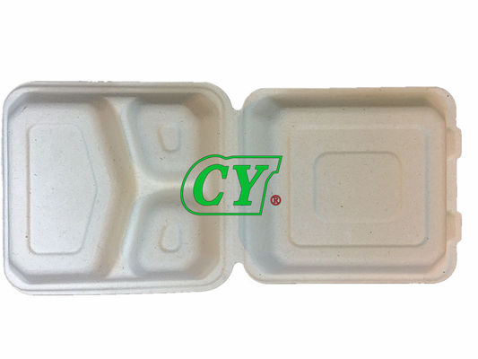 Mesin Kotak Makan Siang Kerang Tebu Bagasse Biodegradable Virgin Pulp Kayu Bubur