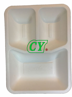 Biodegradable Tebu Bagasse Plate Pulp Fiber Tableware Machine