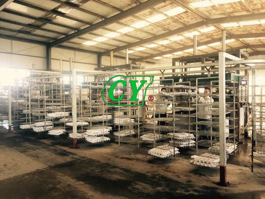 Mesin Pengeringan Pulp Ramah Lingkungan Lini Produksi Karton Telur