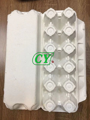 Produk Bubur Kertas Cetakan Biodegradable Pulp Egg Tray Recycle Egg Box