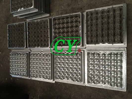Cetakan Pulp Kertas Die Casting 30 Baki Cetakan Pulp Kertas Rongga